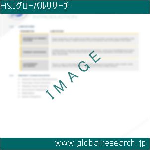 グローバルリサーチ調査レポートのイメージ